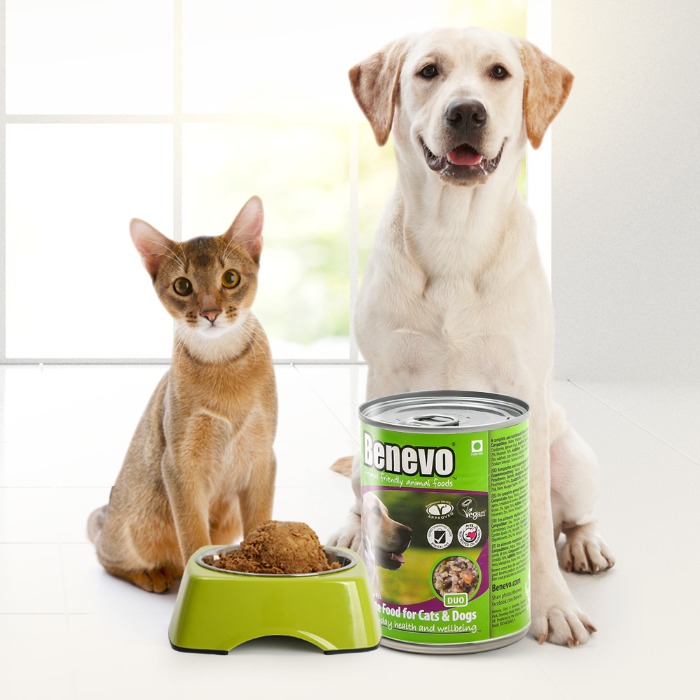 Benevo- 베네보 듀오 고양이&amp;강아지 캔 13oz(369g)